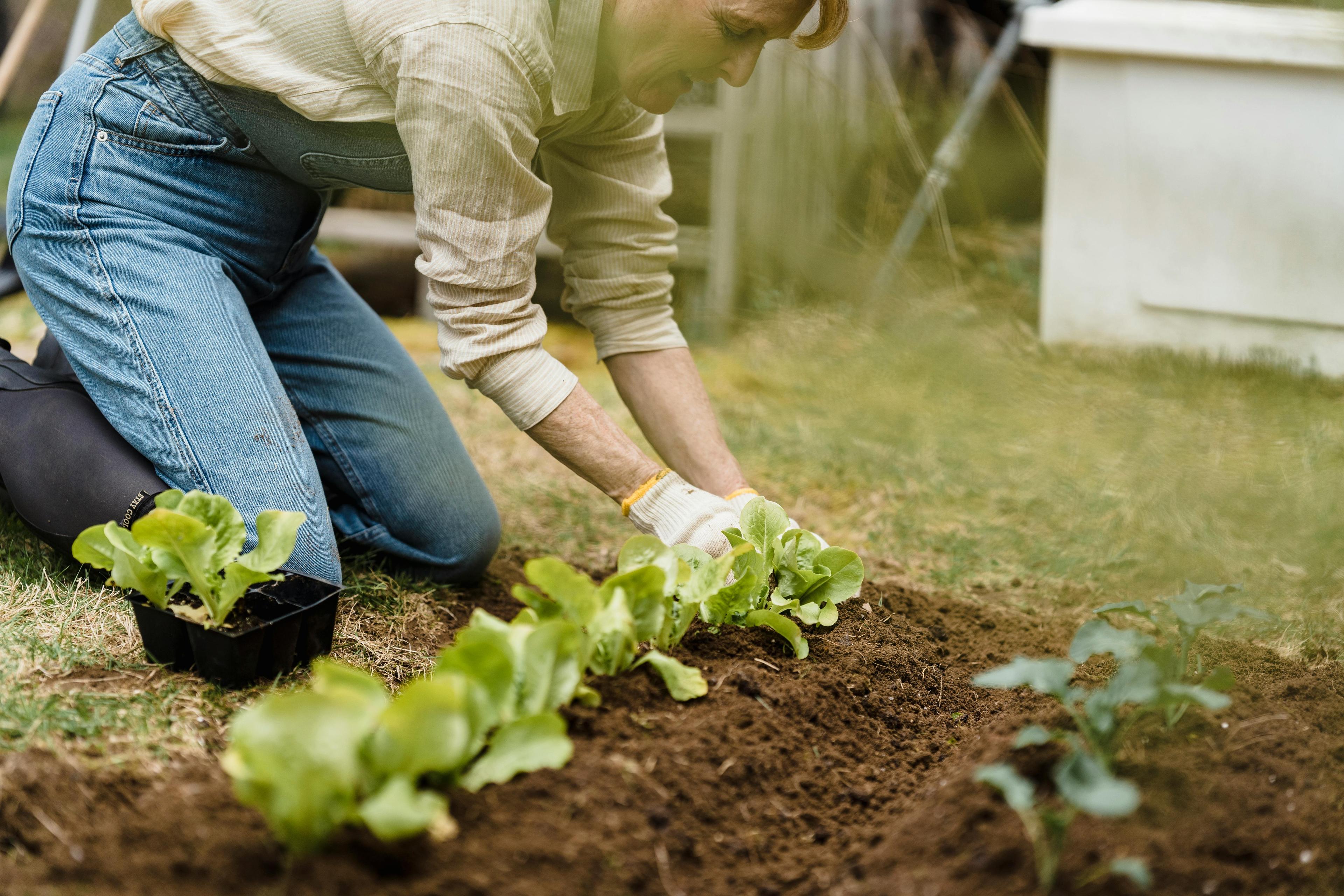 ORIKU gestaltet individuelle Gartenräume mit klarer Handschrift