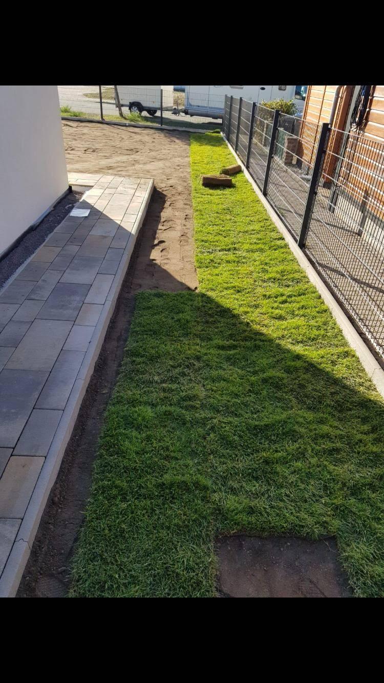 Bepflanzung mit Struktur